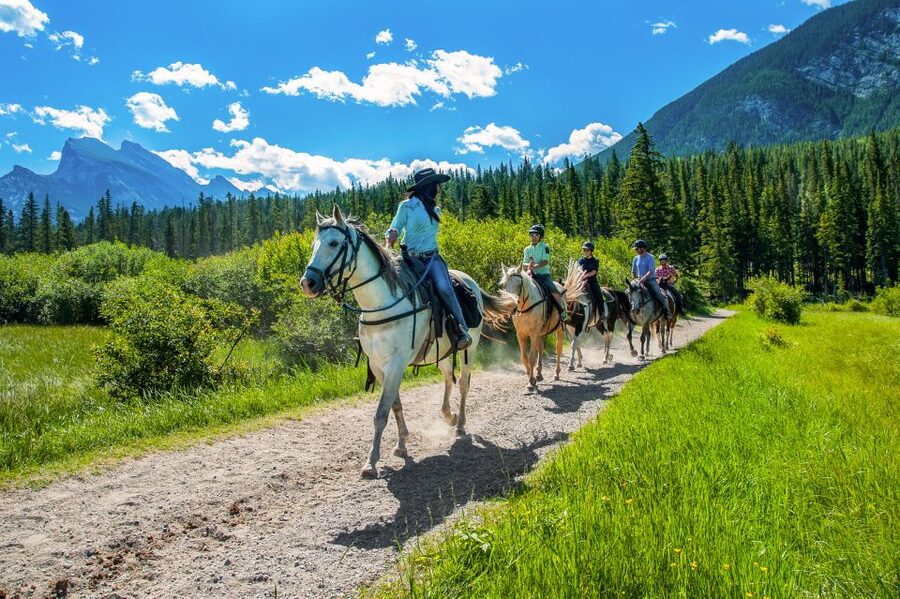 Banff National Park: 1-Hour Bow River Horseback Ride - Scenery, Wildlife, and Weather Along the Trail