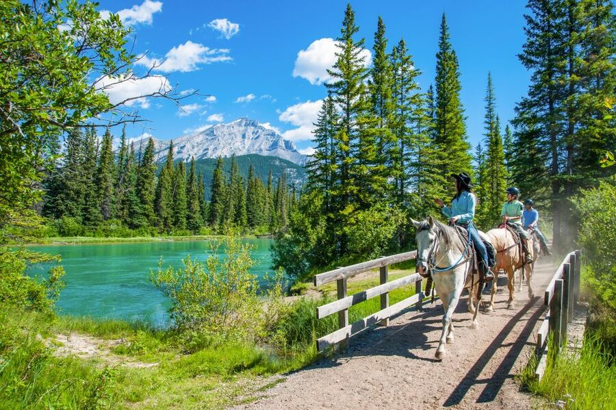 Banff National Park: 1-Hour Bow River Horseback Ride - Should You Book the Bow River Horseback Ride?