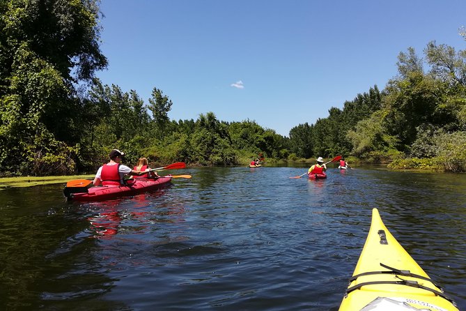 Belgrade Amazon Kayak Adventure - Why Beljarica feels so far from Belgrade