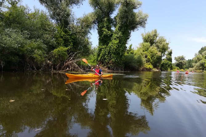 Belgrade Amazon Kayak Adventure - How challenging is 18 kilometers?