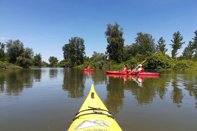 Belgrade Amazon Kayak Adventure - Who should book this kayak adventure?