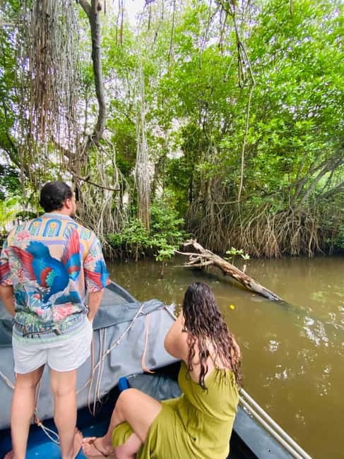 Bentota River Safari: Discover Wildlife & Mangroves by Boat - The small extras, from king coconuts to crocodile handling