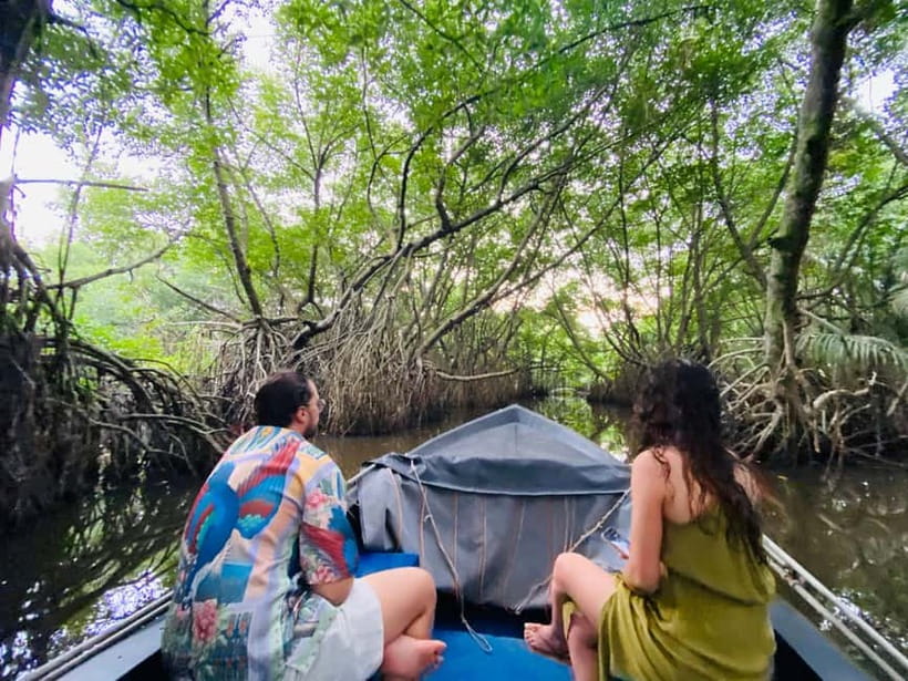 Bentota River Safari: Discover Wildlife & Mangroves by Boat - What to bring for a comfortable boat ride