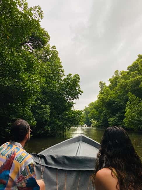 Bentota River Safari: Discover Wildlife & Mangroves by Boat - Who should book this Bentota River Safari?