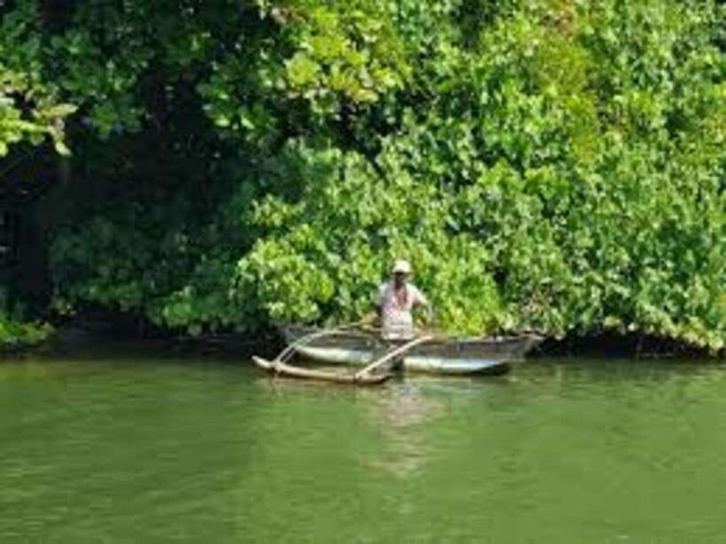Bentota: River Safari with Hotel Pickup and Drop-Off - Mangroves, River Banks, and the Search for Wildlife