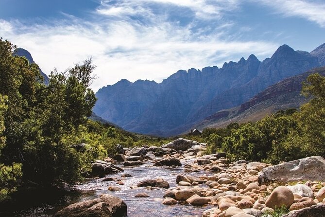 Big Five Safari and Breede River Valley Guided Day Trip - Why this Cape Town safari works for a short visit