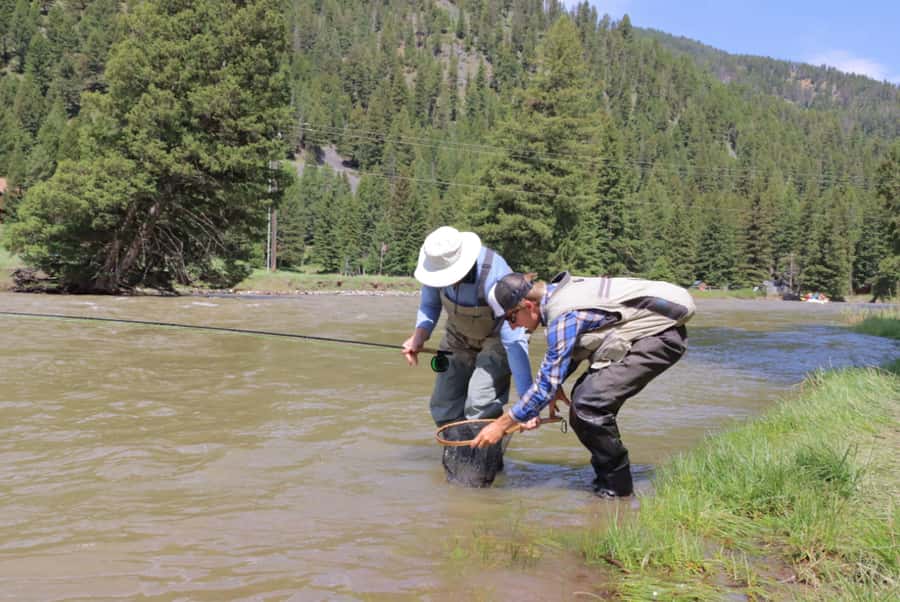 Big Sky: Learn to Fly Fish on the Gallatin River (3 hours) - Key Points