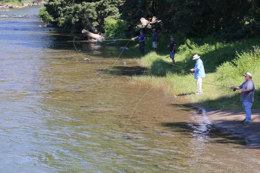Big Sky: Learn to Fly Fish on the Gallatin River (3 hours) - Fishing the Gallatin: Patience Matters