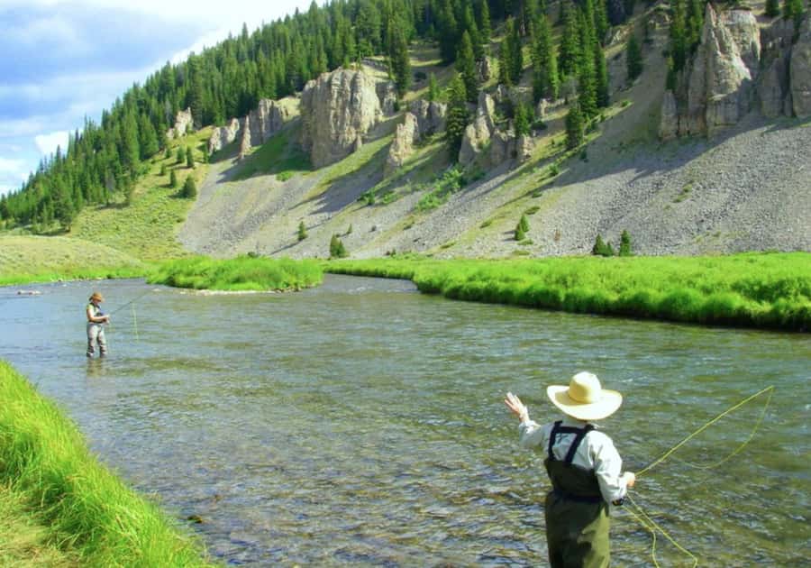 Big Sky: Learn to Fly Fish on the Gallatin River (3 hours) - The First Hour: Fish, Water, Flies, and Gear