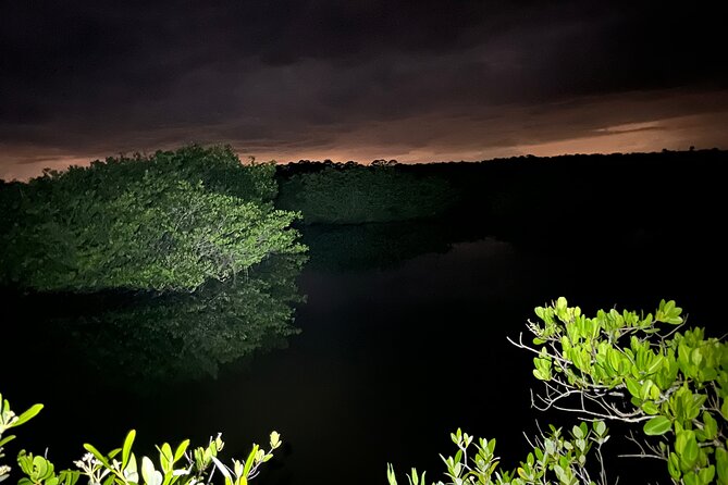 Bioluminescent Kayak Tour in Floridas Indian River Lagoon - The science behind the summer water sampling