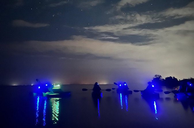 Bioluminescent Kayak Tour in Floridas Indian River Lagoon - What the small group changes