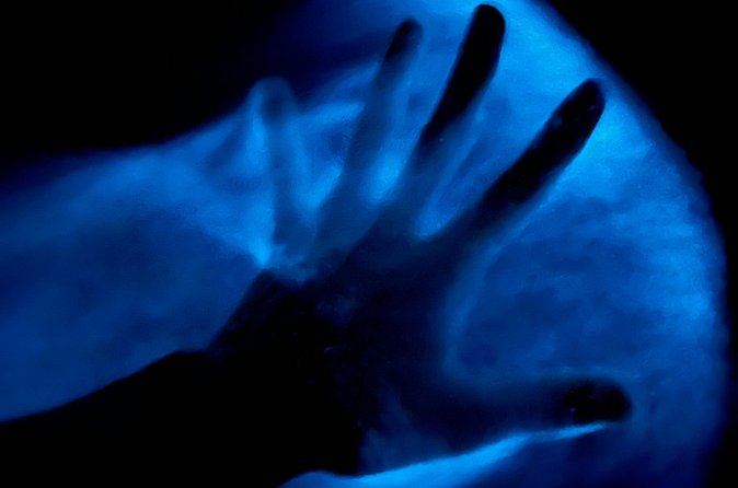 Bioluminescent Kayak Tour in Floridas Indian River Lagoon - Who will enjoy the two-hour paddle
