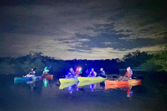 Bioluminescent Kayak Tour in Floridas Indian River Lagoon - Meeting Sunny at 501 Marina Road