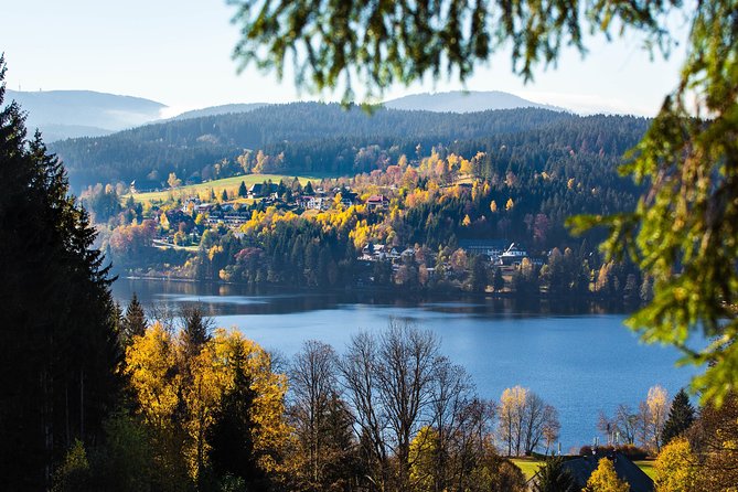 Black Forest and Rhine Falls Day Trip from Zurich - The Black Forest drive back toward Switzerland