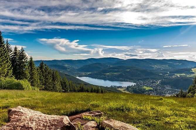 Black Forest and Rhine Falls Day Trip from Zurich - Guides, drivers, and the value of live commentary