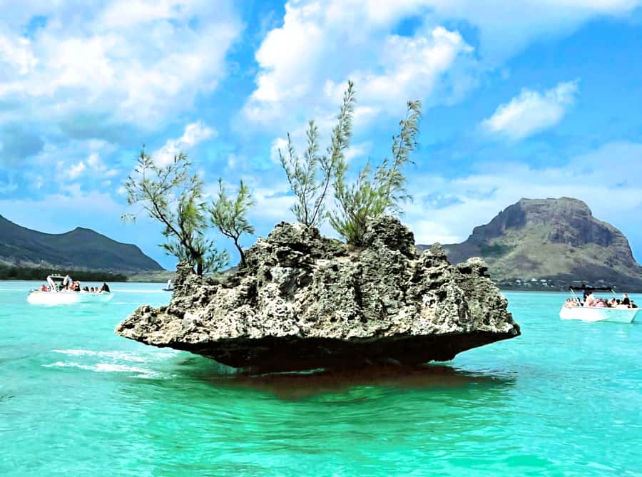 Black River: Swim with Dolphin Speed Boat Tour with lunch - A small boat, but not a private boat