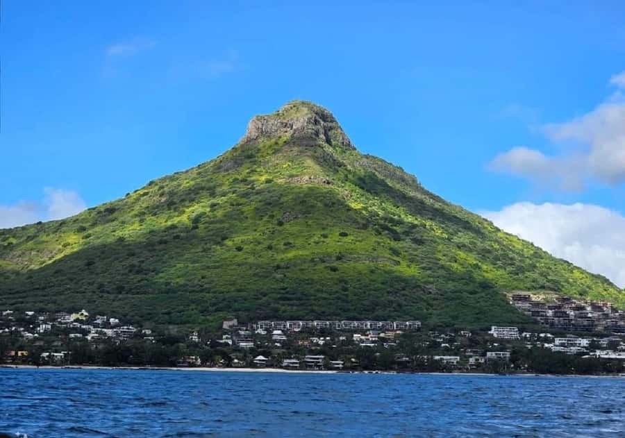 Black River: Swim with Dolphin Speed Boat Tour with lunch - Practical details that can make or break the day