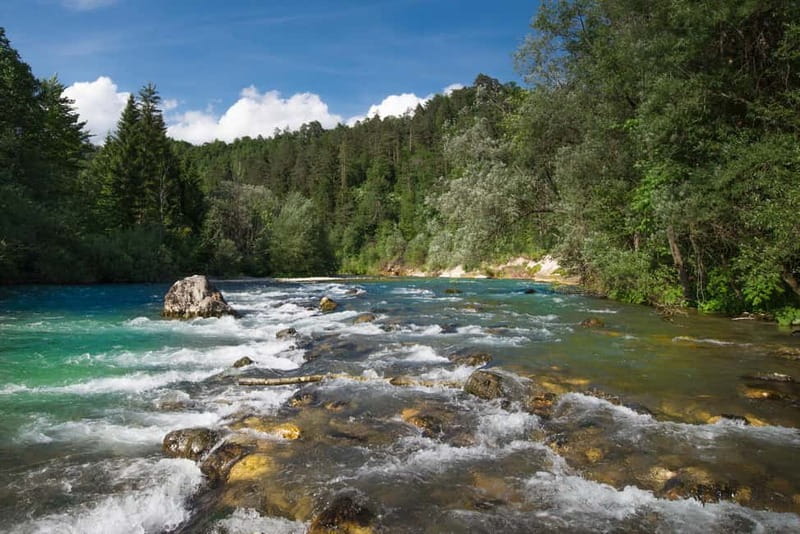 Bled: Europe's Longest Zipline Adventure over Dolinka River - Is $111 a fair price?