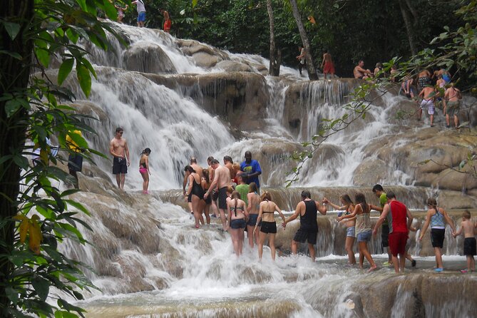 Blue Hole and Dunn’s River Falls Tour with Lunch and Cocktails at Reggae Hill - Who will get the most from this tour