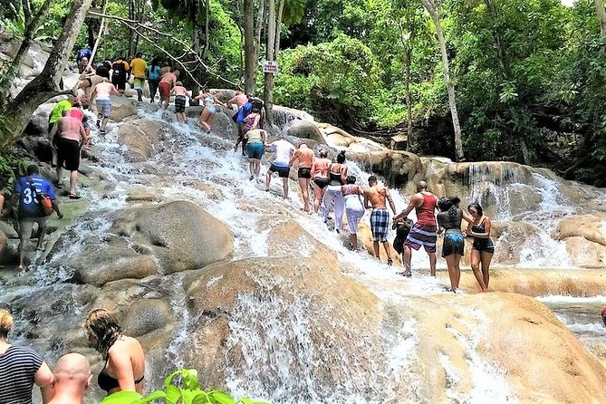 Blue Hole, Secret Falls, and Dunn's River Falls Combo Day-Trip - Secret Falls adds a short forest walk