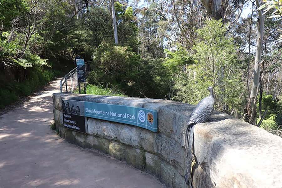 Blue Mountains: Private Tour with Wildlife and River Cruise - Katoomba Falls and Leura add variety