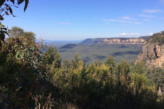Blue Mountains Tour PRIVATE with Wildlife Park and River Cruise - Leura, the garden village
