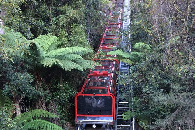 Blue Mountains Tour PRIVATE with Wildlife Park and River Cruise - The ferry to Sydney Harbour