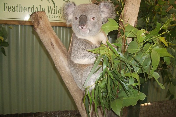 Blue Mountains Tour PRIVATE with Wildlife Park and River Cruise - Echo Point and the Three Sisters