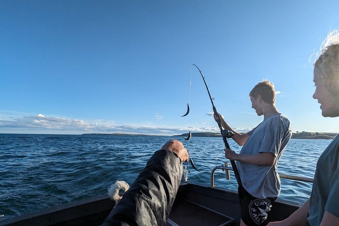 Boat Tour of Kinsale Harbour and Bandon River - What you actually do on the Kinsale Harbour trip