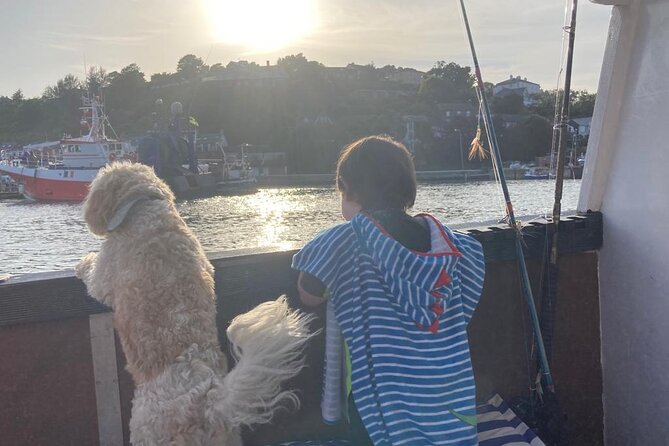 Boat Tour of Kinsale Harbour and Bandon River - Is the $663.74 private rate good value?