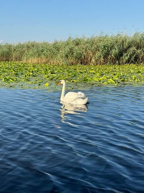 Boat Trip to Caraorman Forest – Danube Delta (6–7 hours) - Lakes Isăcel and Isac, with fishing at the center