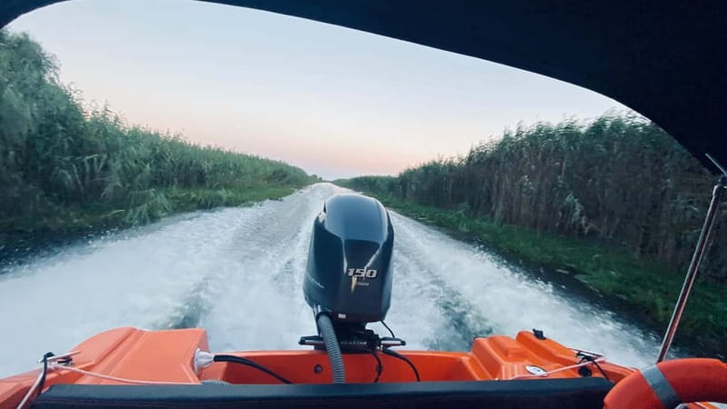 Boat Trip to Caraorman Forest – Danube Delta (6–7 hours) - Boarding at Murighiol and following the old river arm