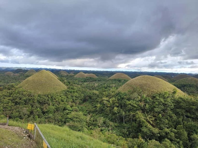 BOHOL: Chocolate Hills, Tarsiers and Loboc River Day Tour - Bilar Man-Made Forest: a cool roadside pause
