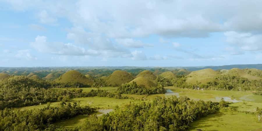 Bohol: Chocolate Hills, Tarsiers, & Loboc River Tour - Transport and guide service are the real value