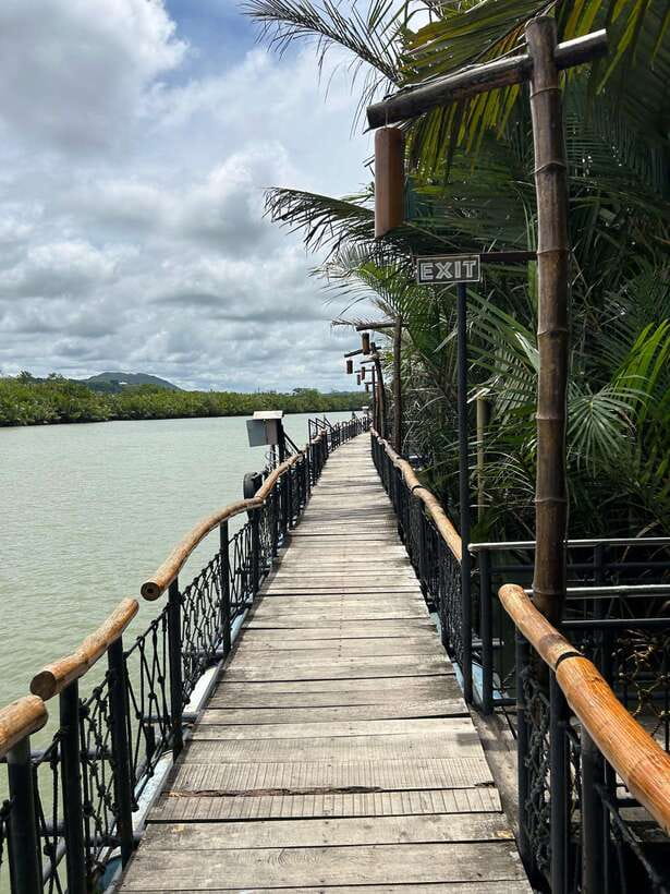 Bohol: Chocolate Hills Tour with Loboc River Cruise & Lunch - A long Bohol day with a strong final view