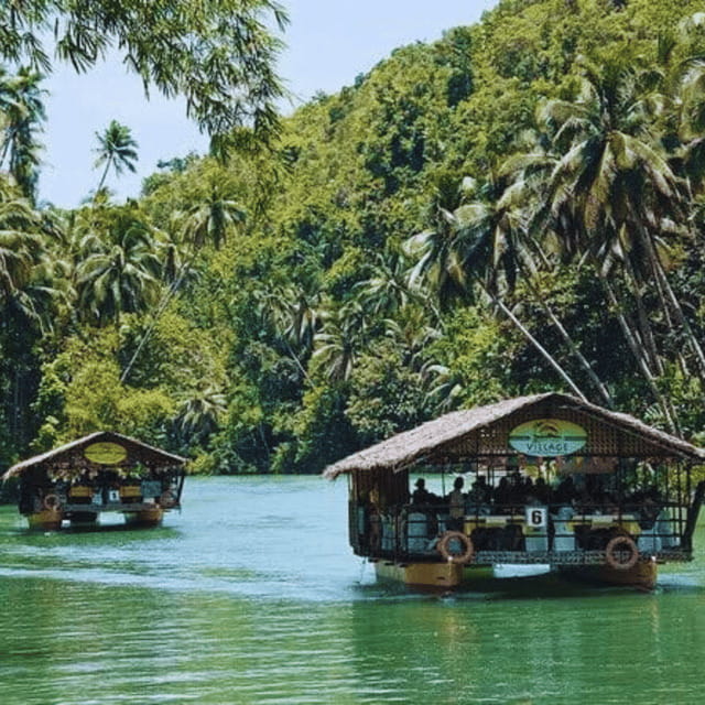 Bohol: Chocolate Hills Tour with Loboc River Cruise & Lunch - The Man-Made Forest and the road itself