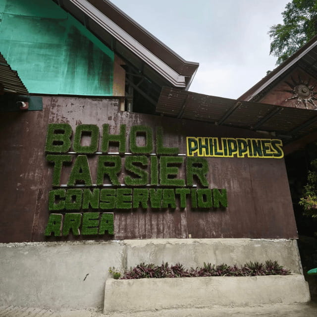 Bohol Chocolate Hills Tour with Loboc River Lunch Buffet - Key points to know before booking