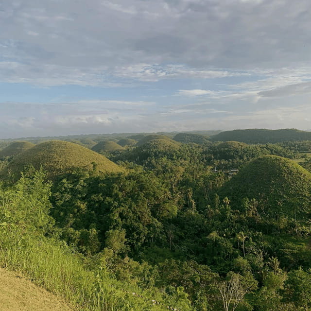 Bohol Chocolate Hills Tour with Loboc River Lunch Buffet - Xzootic Animal Park: a small wildlife stop