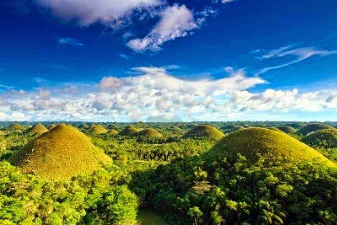 Bohol Countryside Day Tour From Cebu City | Lunch at Loboc River Cruise - A quiet road through the Bilar mahogany forest
