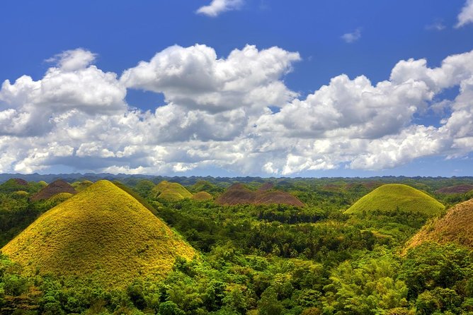 Bohol Countryside Day Tour From Cebu City | Lunch at Loboc River Cruise - Meeting Bohol’s tiny tarsiers