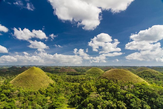 Bohol Highlights Tour: Chocolate Hills, Tarsier Spotting and Loboc River Cruise - Key points to know before booking