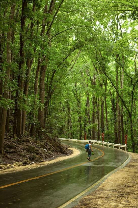Bohol: Premium Chocolate Hills, Tarsiers & River Experience - Chocolate Hills, Bohol’s signature view