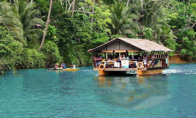 Bohol: Premium Chocolate Hills, Tarsiers & River Experience - The Man-Made Forest provides a welcome pause