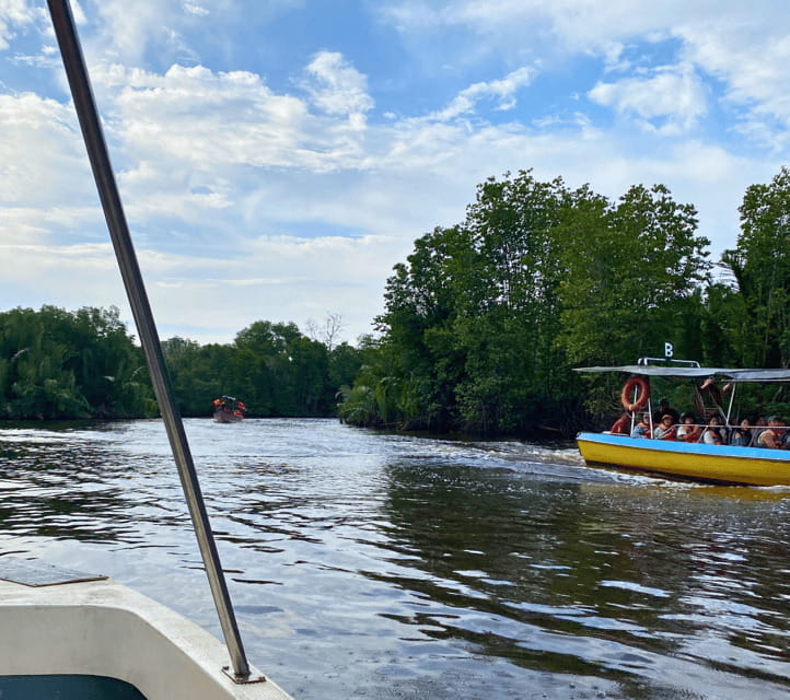 Bongawan River Cruise: Proboscis Monkey & Fireflies Mangrove - Guides are central to the experience