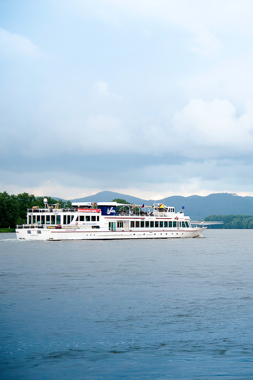 Bonn: Evening Sightseeing Cruise on the Rhine River - Why Bonn makes sense from the Rhine after dark