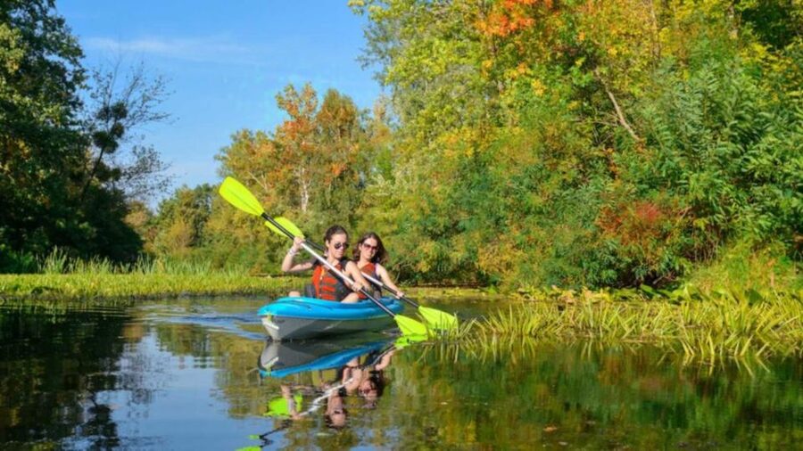 Bosa: Temo River Kayak Rental - Key points to know before paddling
