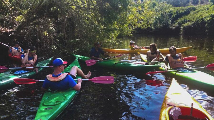 Bosa: Temo River Kayak Rental - Why the Temo River makes Bosa special