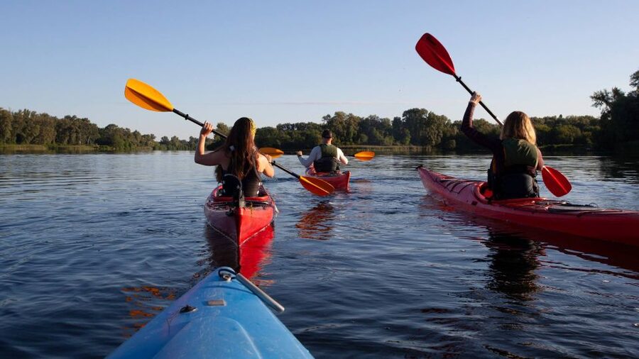 Bosa: Temo River Kayak Rental - River views, wildlife, and a bit of castle scenery
