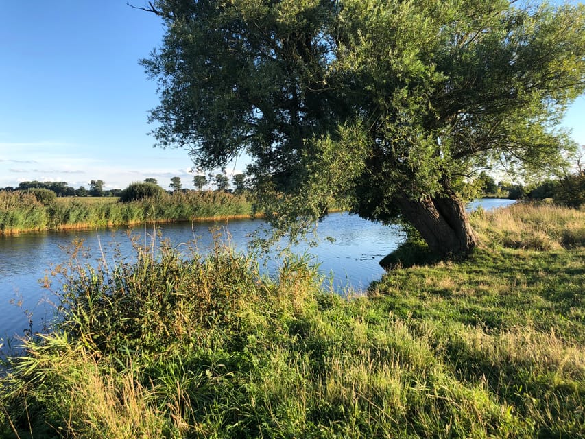 Bremen: Full-Day Kayak Rental on the Wümme River - Wildlife, swimming, and riverside pauses
