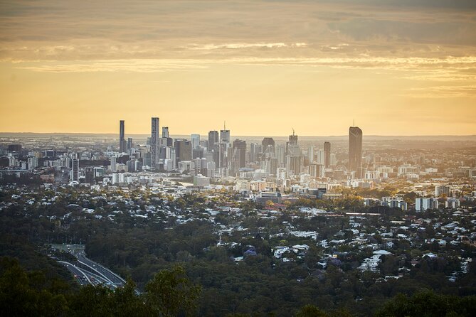 Brisbane Bus Tour: Max 10 people | Half Day | Morning tea inc. - Why this four-hour route works